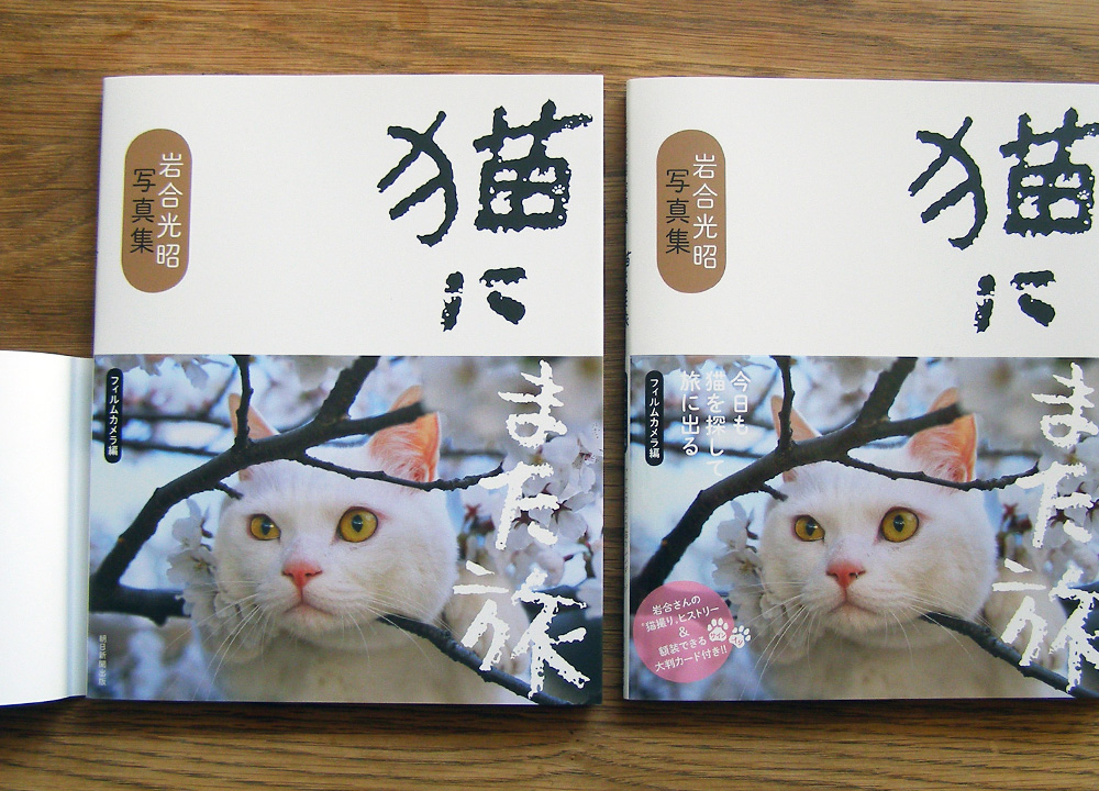 岩合光昭写真集 猫にまた旅